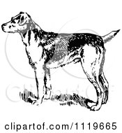 Clipart Of A Retro Vintage Black And White Alert Dog Royalty Free Vector Illustration