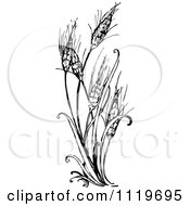 Poster, Art Print Of Retro Vintage Black And White Wheat Plant