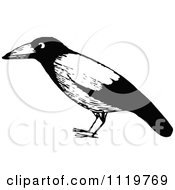 Clipart Of A Retro Vintage Black And White Black Bird Royalty Free Vector Illustration