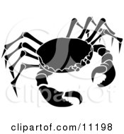 Poster, Art Print Of The Cancer Astrology Sign Of The Zodiac The Crab