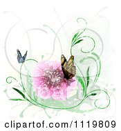 Poster, Art Print Of Butterflies With A Pink Flower And Grunge