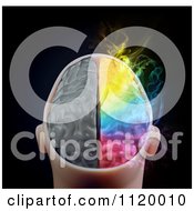 Poster, Art Print Of 3d Colorful Smoking Human Brain 2