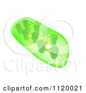 Poster, Art Print Of 3d Green Plant Chloroplast