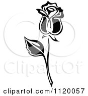 Clipart Of A Black And White Rose Flower 3 Royalty Free Vector Illustration