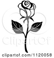 Clipart Of A Black And White Rose Flower 2 Royalty Free Vector Illustration