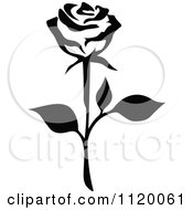 Clipart Of A Black And White Rose Flower 4 Royalty Free Vector Illustration
