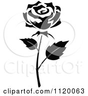 Poster, Art Print Of Black And White Rose Flower 6