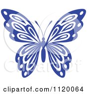 Blue Butterfly 1