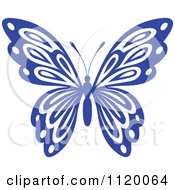 Poster, Art Print Of Blue Butterfly 1