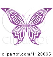 Poster, Art Print Of Purple Butterfly