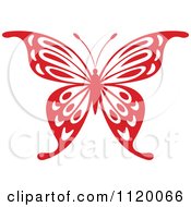 Poster, Art Print Of Red Butterfly