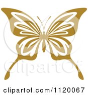 Poster, Art Print Of Brown Butterfly