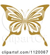 Clipart Of A Brown Butterfly Royalty Free Vector Illustration