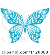 Blue Butterfly 2