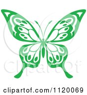 Poster, Art Print Of Green Butterfly