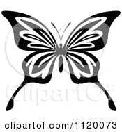 Poster, Art Print Of Black And White Butterfly 18