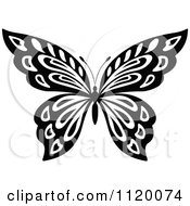 Poster, Art Print Of Black And White Butterfly 17