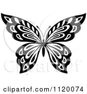 Clipart Of A Black And White Butterfly 17 Royalty Free Vector Illustration