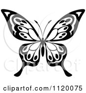 Clipart Of A Black And White Butterfly 16 Royalty Free Vector Illustration