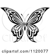 Poster, Art Print Of Black And White Butterfly 14