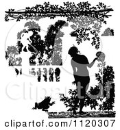 Poster, Art Print Of Silhouetted Water Garden Fountains