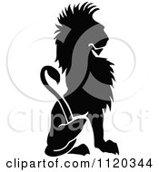 Poster, Art Print Of Silhouetted Sitting Lion