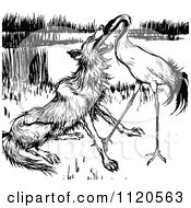 Clipart Of A Retro Vintage Black And White Stork Feeding Fox Royalty Free Vector Illustration
