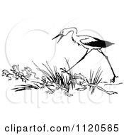 Clipart Of A Retro Vintage Black And White Stork And Frogs Royalty Free Vector Illustration