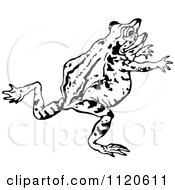 Clipart Of A Retro Vintage Black And White Running Frog Royalty Free Vector Illustration