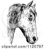 Clipart Of A Retro Vintage Black And White Horse Face 2 Royalty Free Vector Illustration