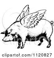 Clipart Of A Retro Vintage Black And White Winged Pig Royalty Free Vector Illustration