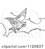 Clipart Of A Retro Vintage Black And White Owl Flying Above Clouds Royalty Free Vector Illustration