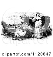 Poster, Art Print Of Retro Vintage Black And White Woman With Milking Cows