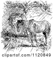 Clipart Of A Retro Vintage Black And White Horse In The Rain Royalty Free Vector Illustration