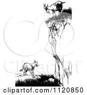 Poster, Art Print Of Retro Vintage Black And White Goat On A Cliff Over A Fox