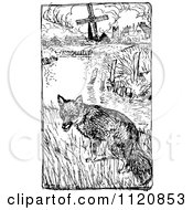 Poster, Art Print Of Retro Vintage Black And White Fox Near A Pond And Farm