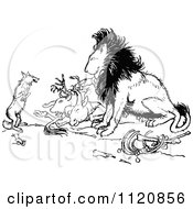 Poster, Art Print Of Retro Vintage Black And White Fox And Lion With Prey