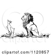 Poster, Art Print Of Retro Vintage Black And White Fox And Lion