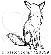 Poster, Art Print Of Retro Vintage Black And White Fox Sitting