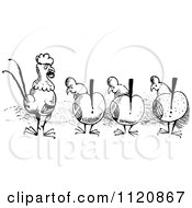 Clipart Of A Retro Vintage Black And White Alert Chickens And A Rooster Royalty Free Vector Illustration by Prawny Vintage