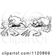 Clipart Of Retro Vintage Black And White Ducks Eating Royalty Free Vector Illustration