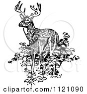 Poster, Art Print Of Retro Vintage Black And White Deer In Bushes