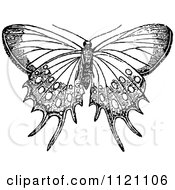 Clipart Of A Retro Vintage Black And White Butterfly Royalty Free Vector Illustration
