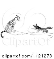 Poster, Art Print Of Retro Vintage Black And White Fox And Leopard