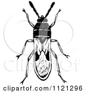 Clipart Of A Retro Vintage Black And White Chinch Bug Royalty Free Vector Illustration