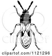 Poster, Art Print Of Retro Vintage Black And White Chinch Bug