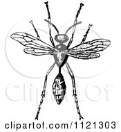 Clipart Of A Retro Vintage Black And White Wasp Royalty Free Vector Illustration by Prawny Vintage