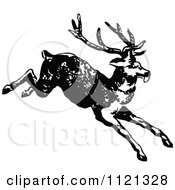 Poster, Art Print Of Retro Vintage Black And White Deer 1