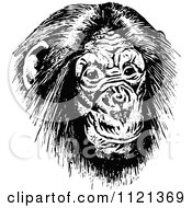 Poster, Art Print Of Retro Vintage Black And White Chimp Face