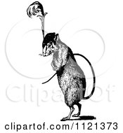 Clipart Of A Retro Vintage Black And White Rat Wearing A Plumed Hat Royalty Free Vector Illustration by Prawny Vintage